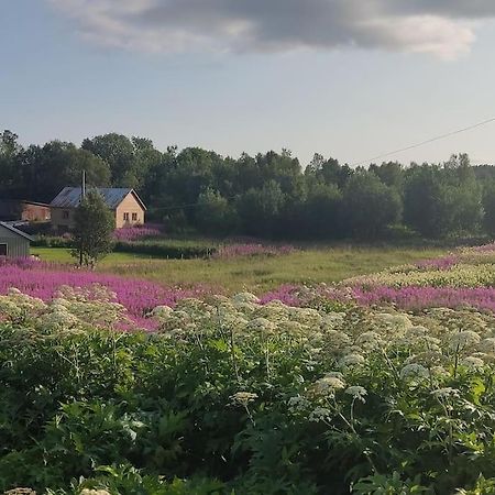 MefjordværNorwegian House Maria Stuaアパートメント エクステリア 写真