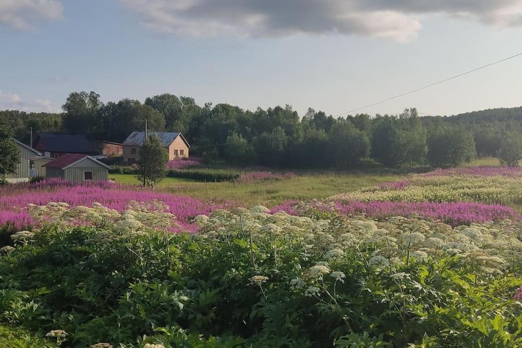 MefjordværNorwegian House Maria Stuaアパートメント エクステリア 写真