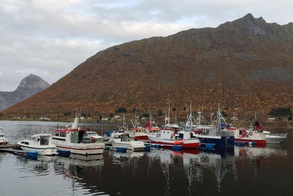 MefjordværNorwegian House Maria Stuaアパートメント エクステリア 写真